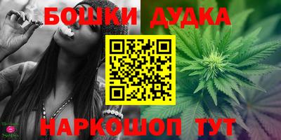apvp Обь