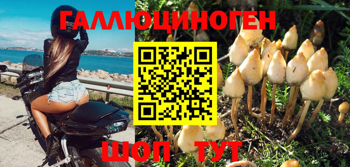 как найти закладки  Галлюциногенные грибы Psilocybine cubensis  Вход с VPN  Сухой Лог 